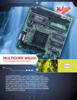 Multicore WS300 96SC AGS 89 500 g Jar MB591